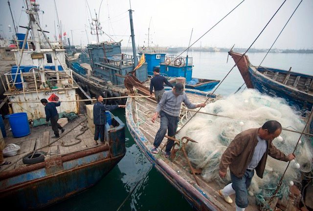 China illegally fishing in Africa, Greenpeace study finds
