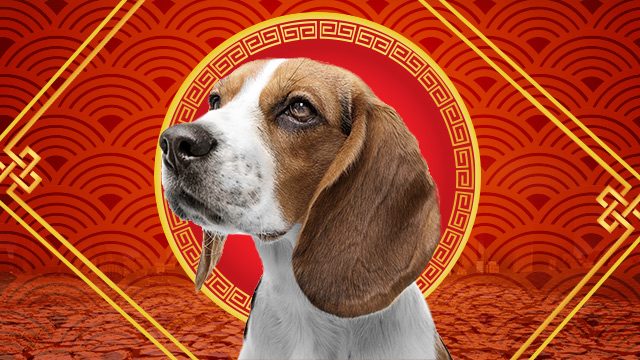 Your horoscope for Chinese New Year 2018, the Year of the Dog