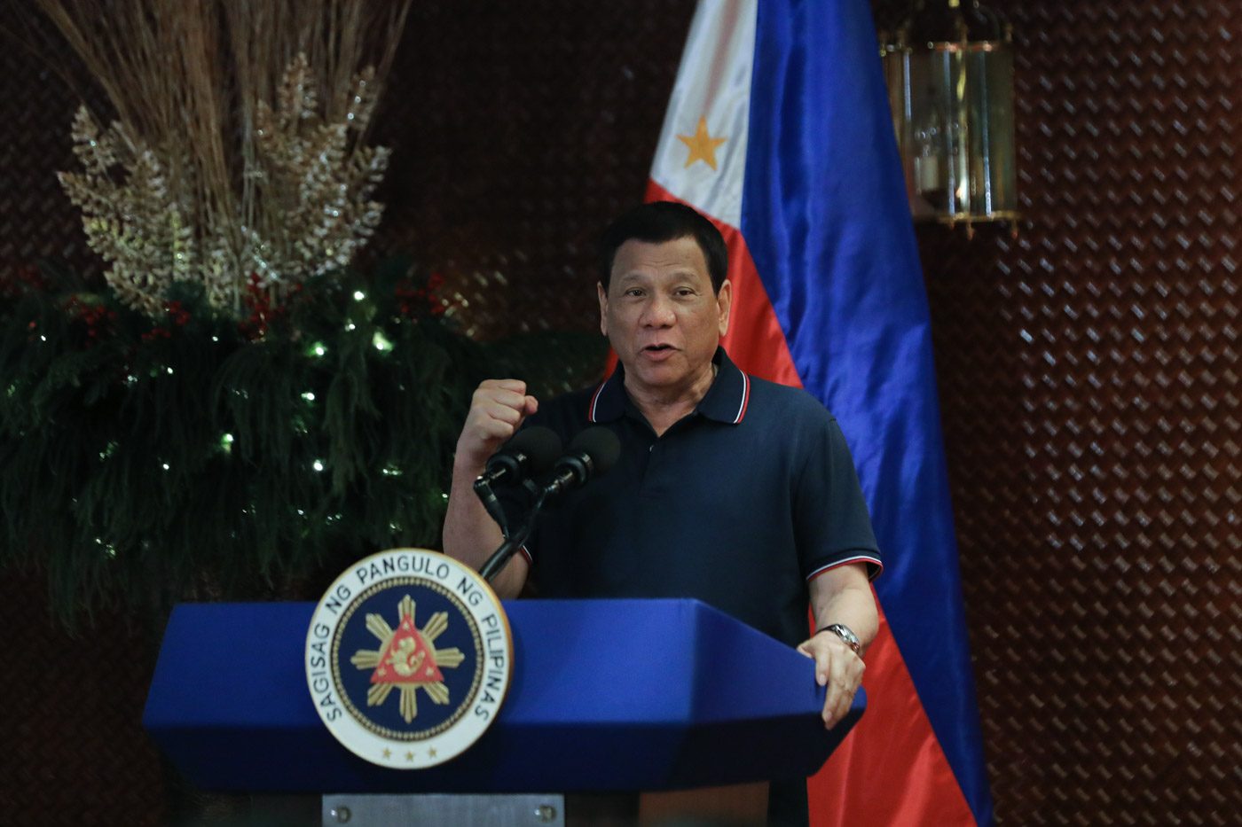 Panelo: Critics calling Duterte a bully ‘cannot swallow reality’