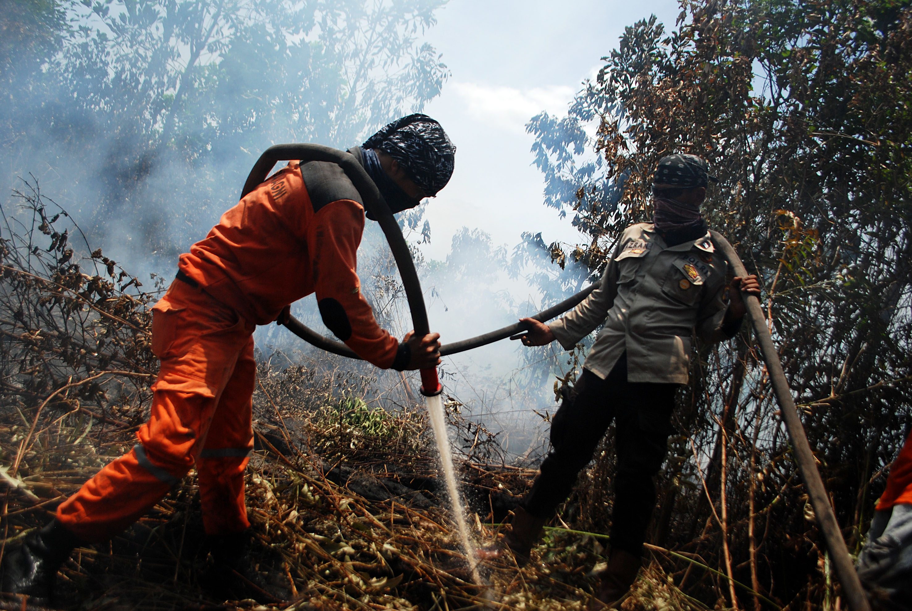 Petugas memadamkan kebakaran lahan gambut di Pekanbaru, Riau, pada 13 September 2016. Foto oleh Rony Muharrman/Antara 