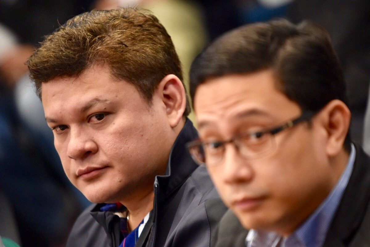 Paolo Duterte, Mans Carpio have millions in accounts – Trillanes