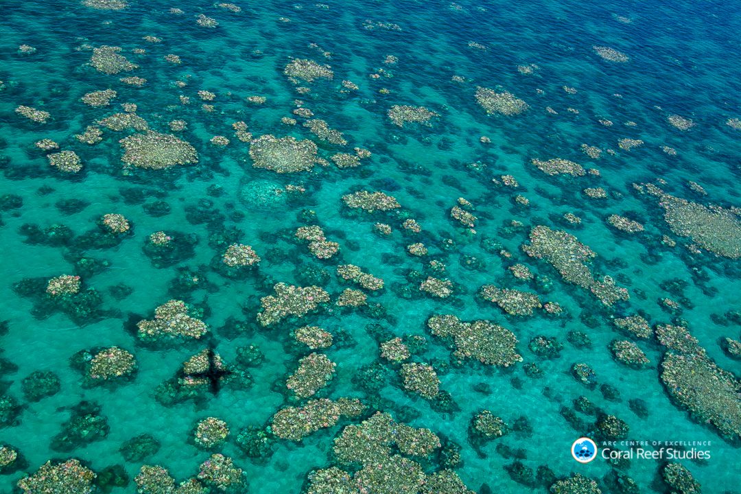 IN DANGER. An aerial view of a section of the Great Barrier Reef near Cairns, Australia, March 2017. File photo courtesy of Ed Roberts/ARC Centre of Excellence for Coral Reef Studies  