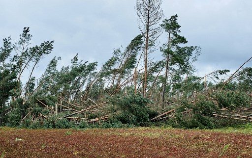2 teen campers among 5 dead as storms ravage Poland