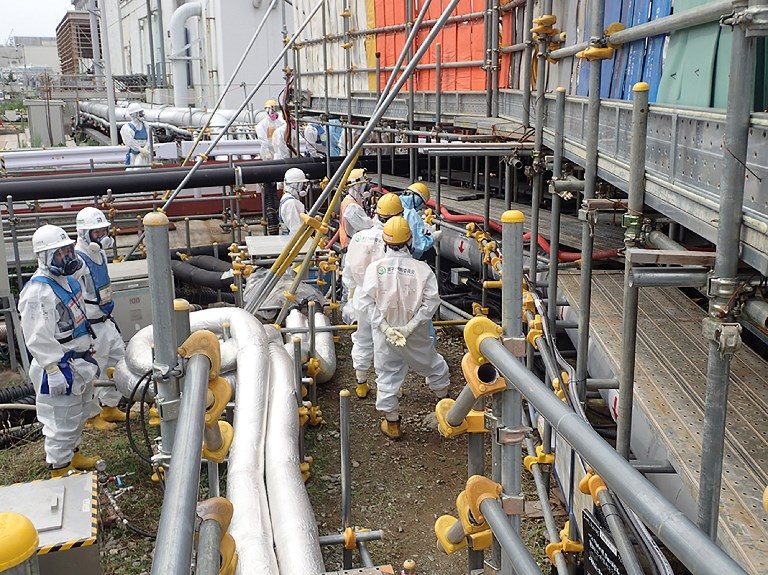 Nuclear fuel removed from crippled Japan plant