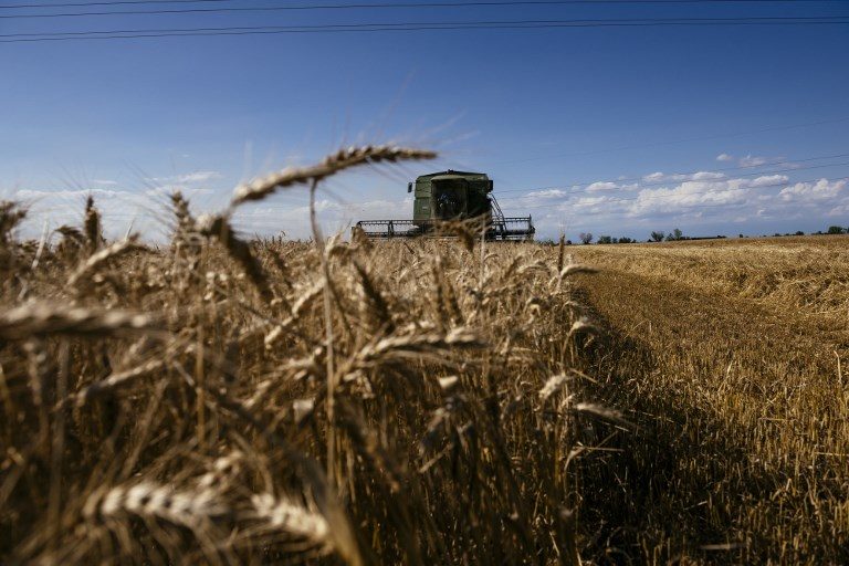 Global warming reduces protein in key crops – study
