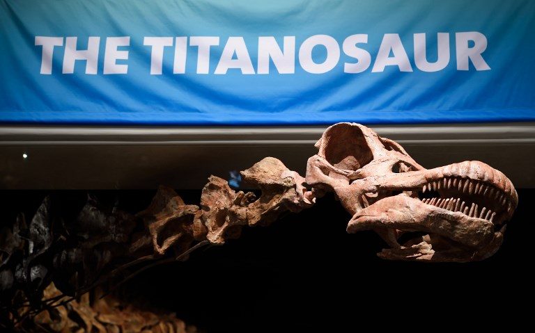 Colossal new dinosaur species gets scientific name