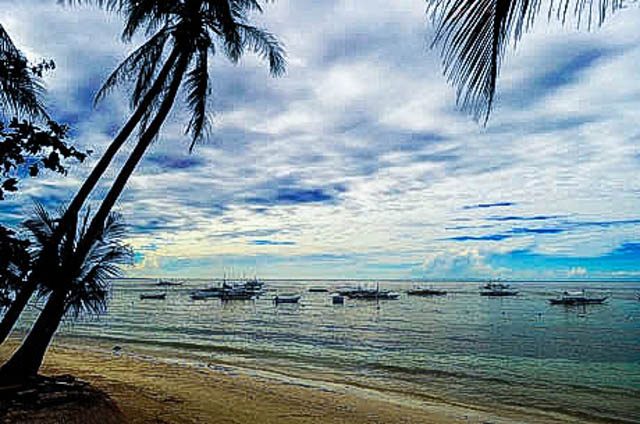 SPECIAL PLACE. Serene beaches of Bohol