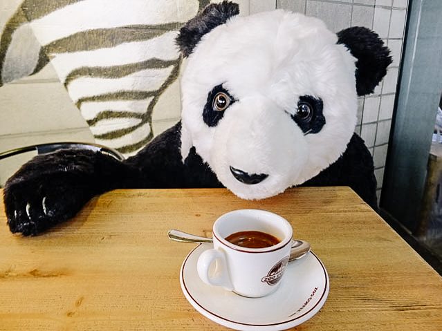 What to try at Zoo Coffee, Korean café with cute ‘animals’