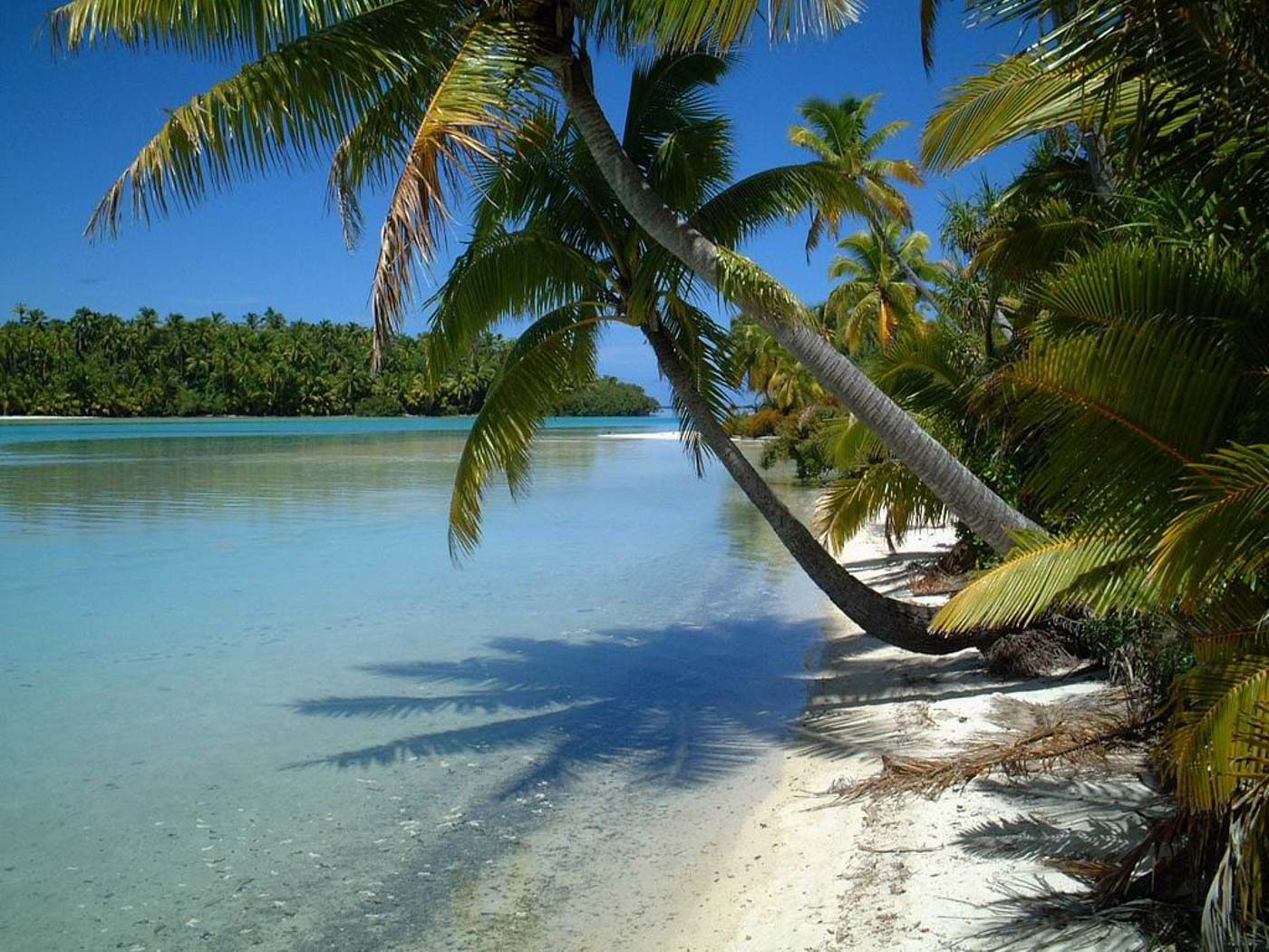 Cook Islands bans travelers from PH, 13 other countries over coronavirus scare
