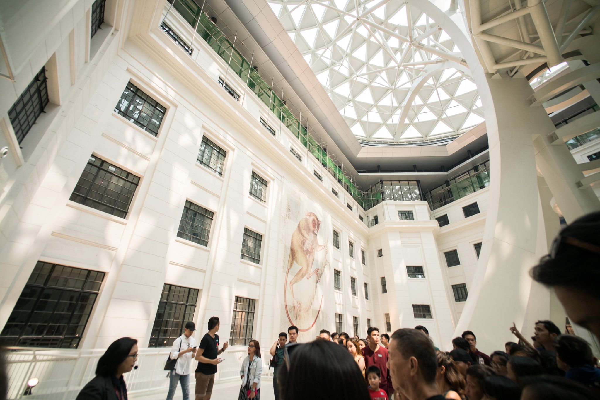 What you can see at the newly-opened National Museum of Natural History