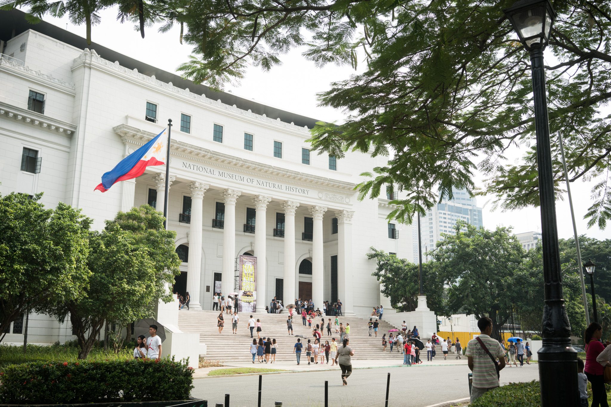 IN PHOTOS: A preview of the National Museum of Natural History