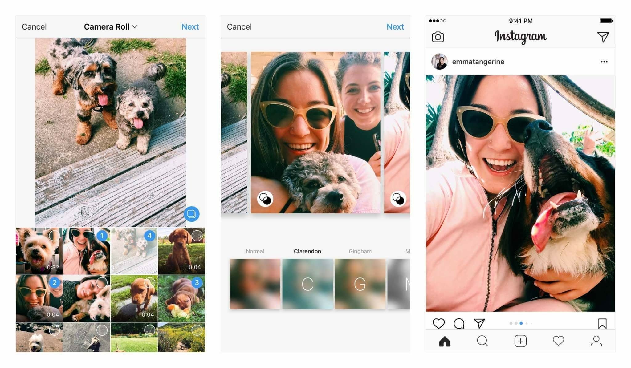 Instagram now allows portrait, landscape photos in albums