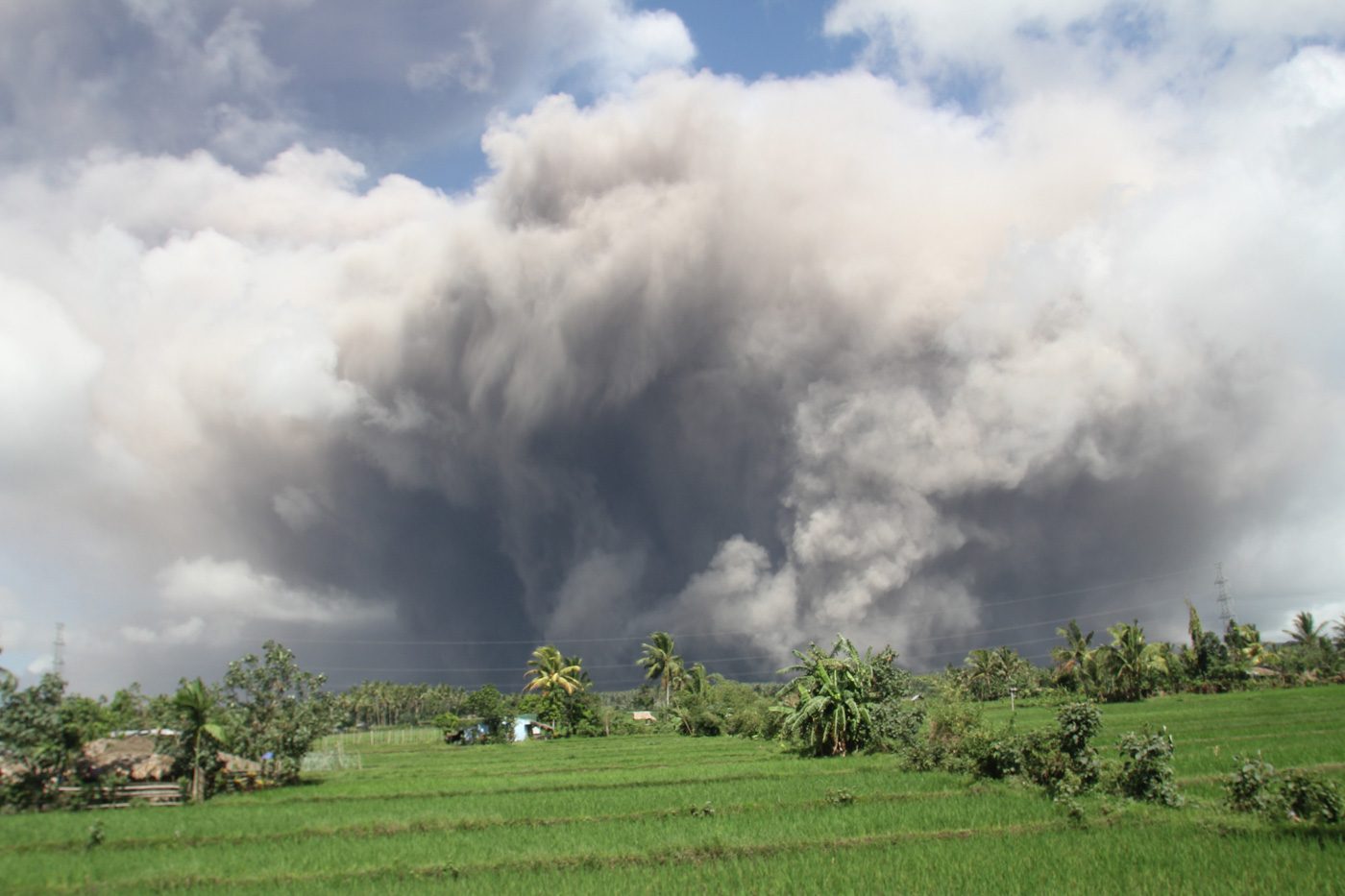 Mayon eruption destroys P94M worth of agricultural crops