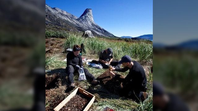 Climate change threatens Greenland’s archaeological sites – study