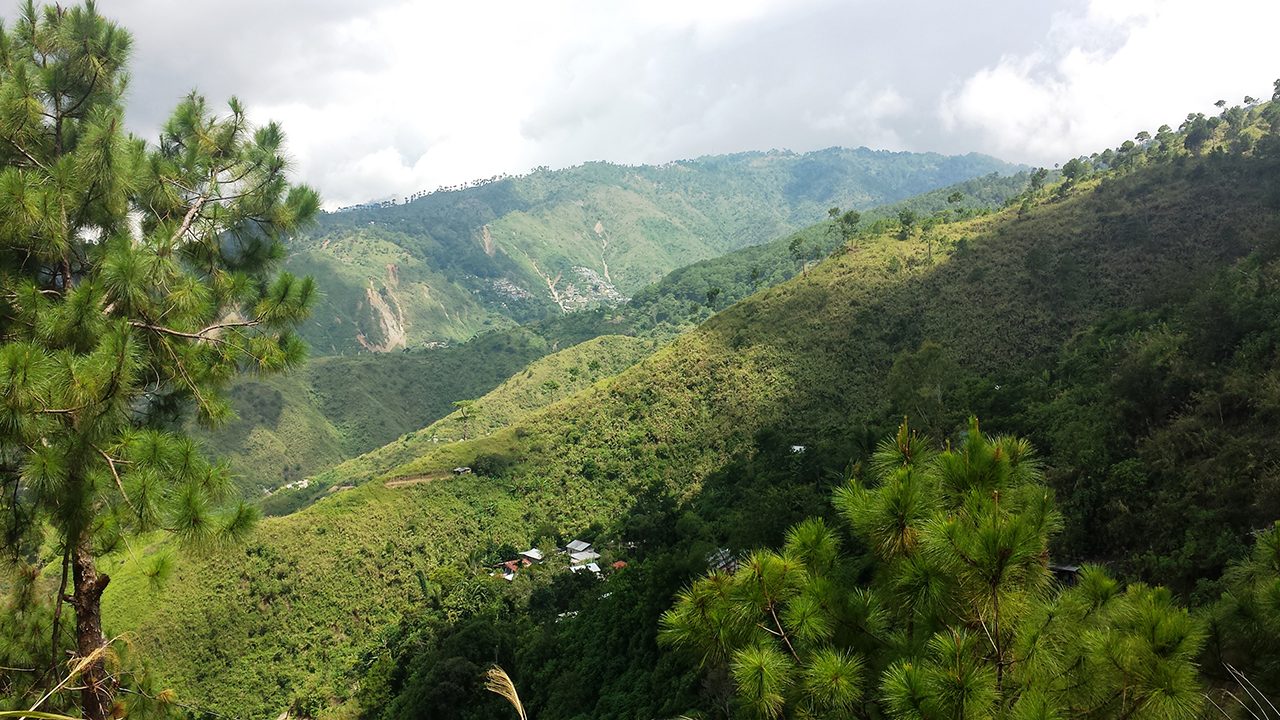 ‘Marriage trees’ getting popular in Benguet towns