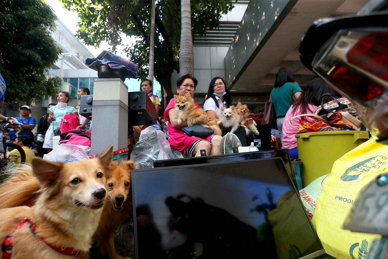 PART OF FAMILY. Fire victims, along with their pets, seek refuge at the nearby De Los Santos Medical Center. 
