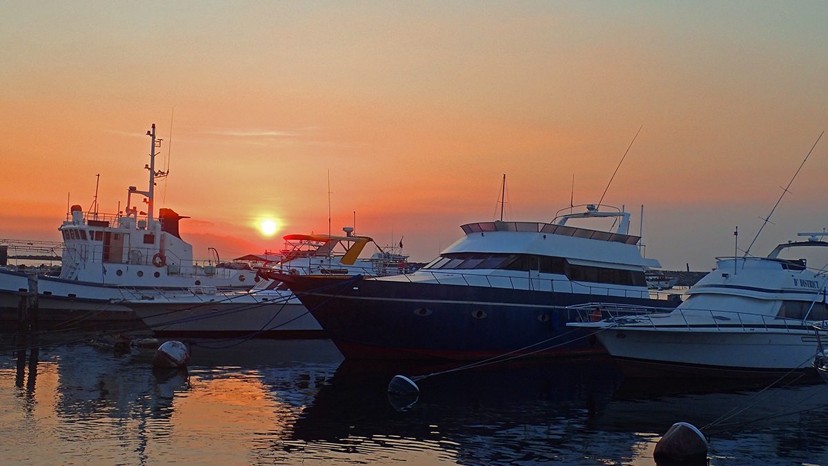 SUNSET. You can catch the Manila Bay sunset if you take the afternoon cruise. 