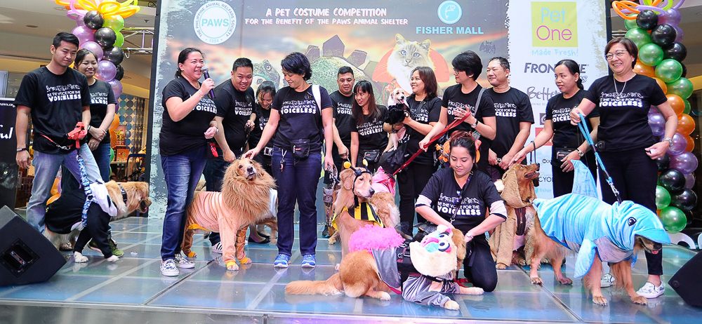 The Golden Justice League dressed as endangered animals went home with the award for Best Dog Group in Costume 