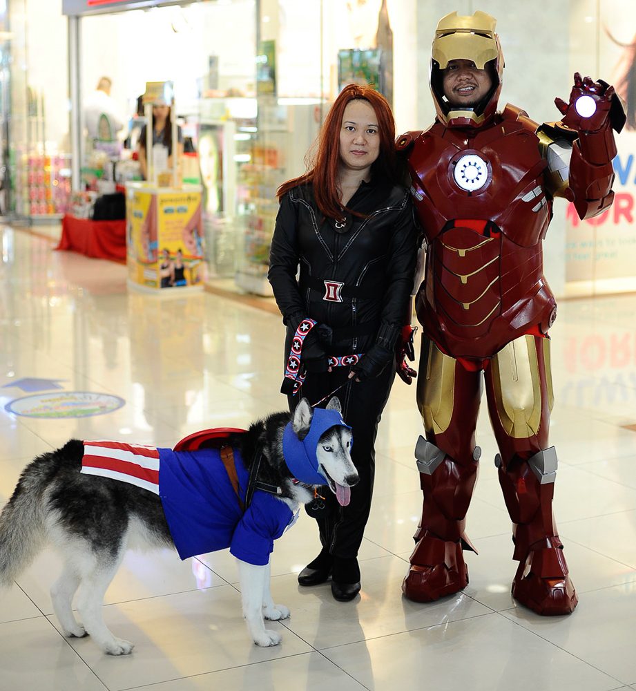 Siber as Captain America with owners Norman and Gloria Lopez as Iron Man and Black Widow 
