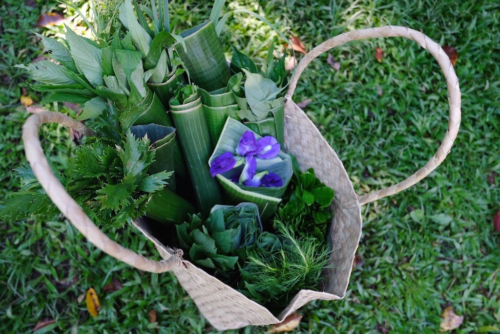 HARVEST BASKET. The day’s yield includes butterfly pea flowers, celery, amaranth, talenum, saluyot, and lemongrass, among others. Photo by Audrey N. Carpio 