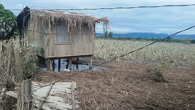 Tuguegarao after Lando: We didn’t know floods would be head-high