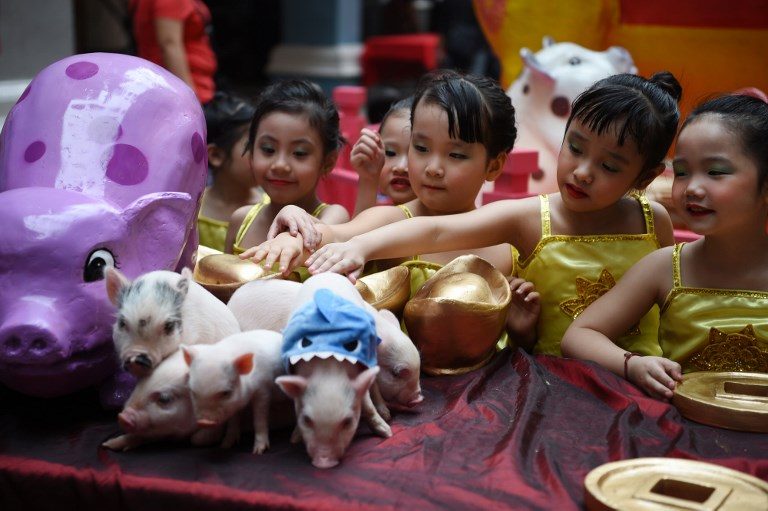 Children touch piglets inside a mall in Binondo, Manila on February 1, 2019, during a ceremony as part of celebrations ahead of the Chinese Lunar New Year. (Photo by Ted Aljibe/AFP  