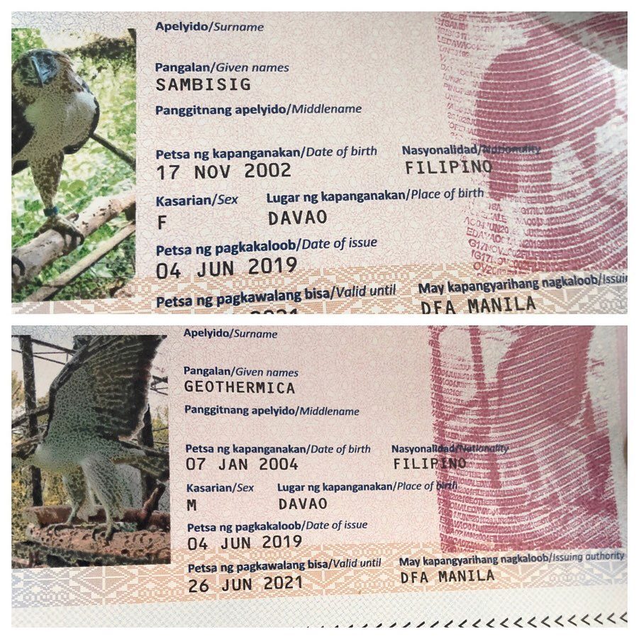 OWN PASSPORTS. The Department of Foreign Affairs has also provided passports for Geothermica and Sambising before the pair were allowed to be sent to Singapore. Photo by Felicia Atienza 