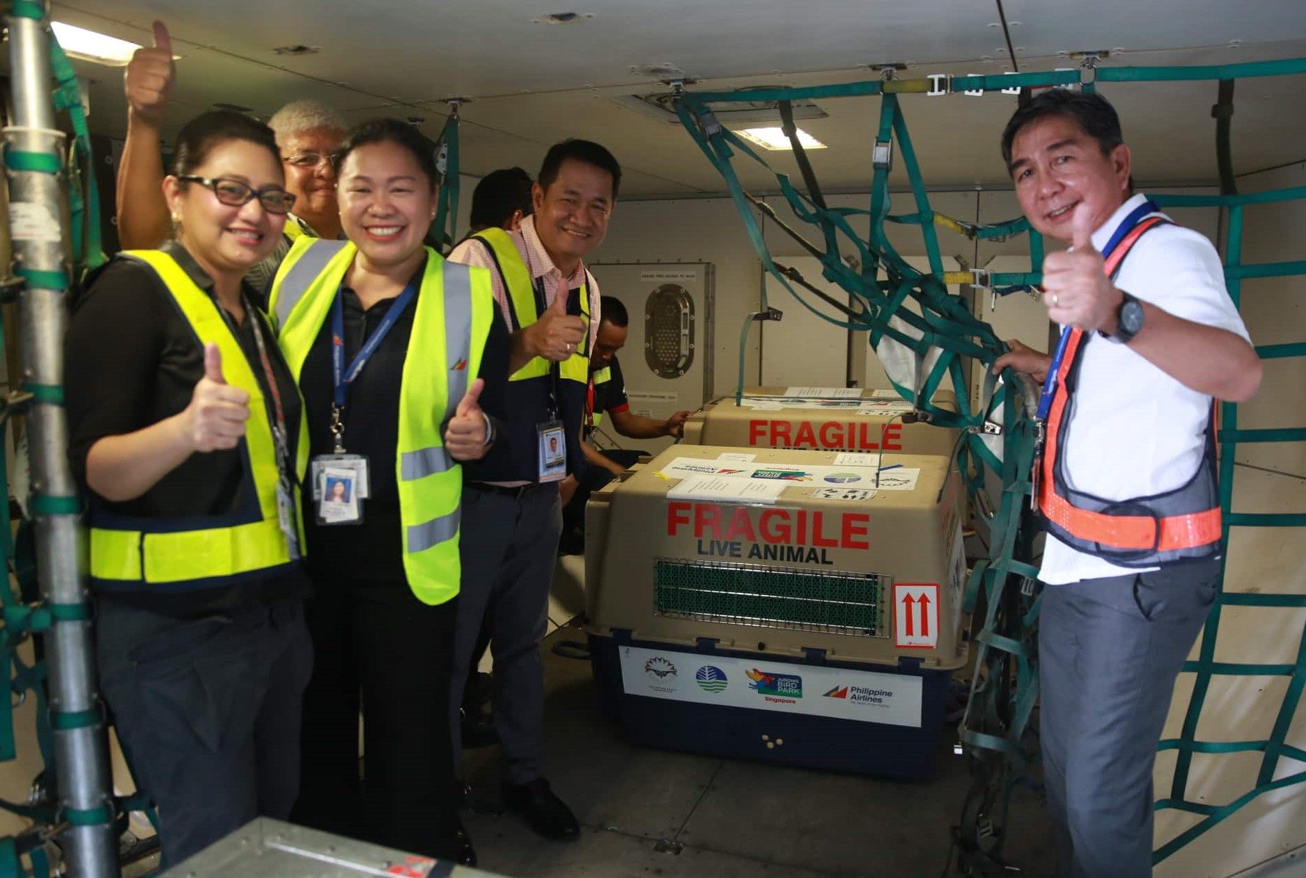 FRAGILE. Key airport and cargo officials personally ensure the kennels of the two Philippine eagles are carefully loaded onto the PAL Airbus A330 jet that flew them to Singapore. Photo from Philippine Airlines   