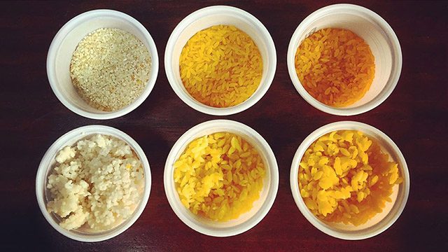 Corn rice: Healthier, safer, not ‘fake rice’