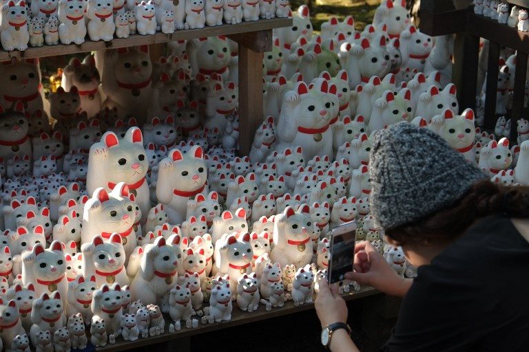 Cat snap: Tokyo ‘lucky cat’ temple draws Instagrammers