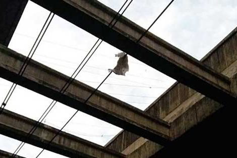 HALTED. MRT3 operations were disrupted due to a diaper. Photo from DOTr 