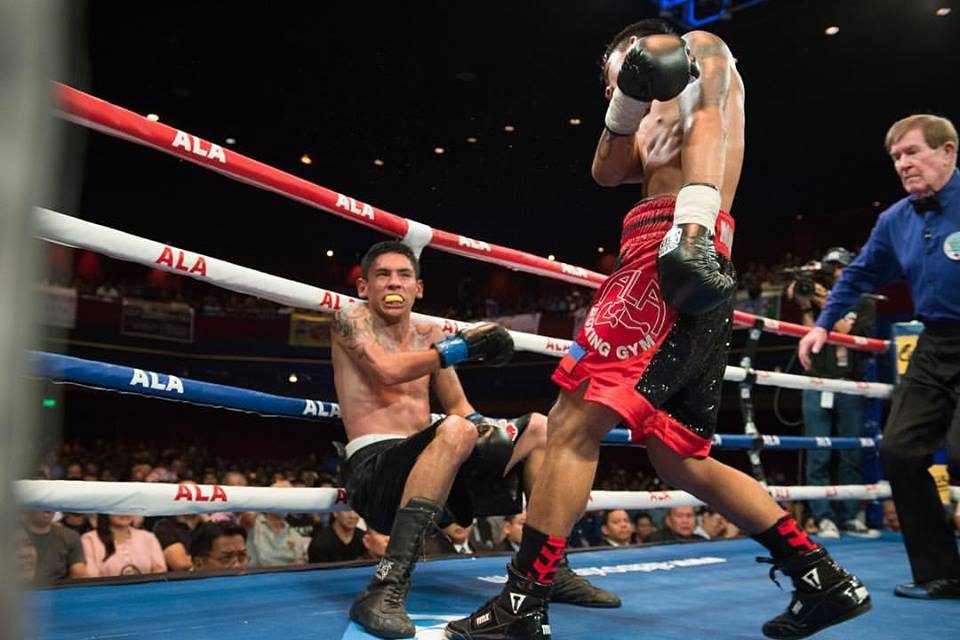 Mark Magsayo catches Eduardo Montoya with another uppercut on his way to the canvas. Photo by Arvee Eco/Rappler 