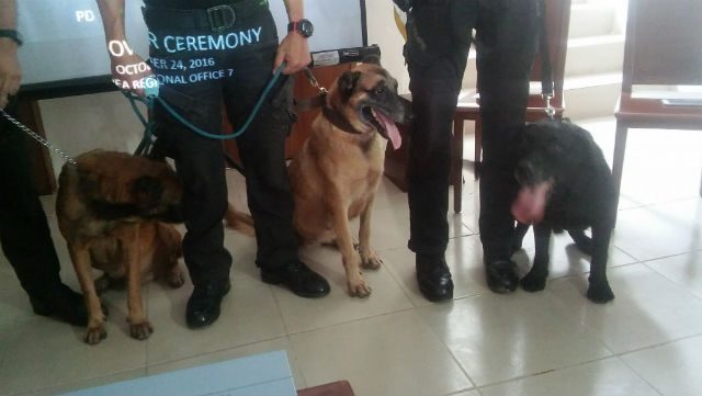 Drug-sniffing dogs to help patrol Cebu jail, bus terminal