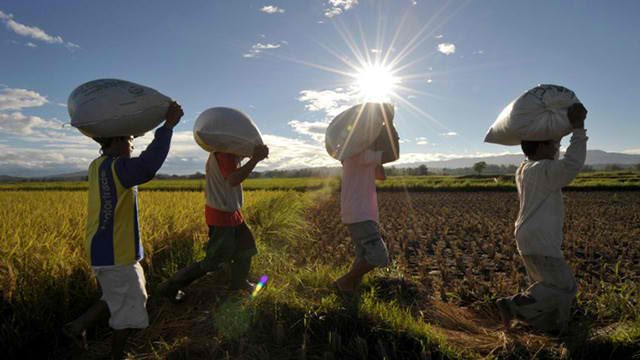 PH rice supply enough for 3 months