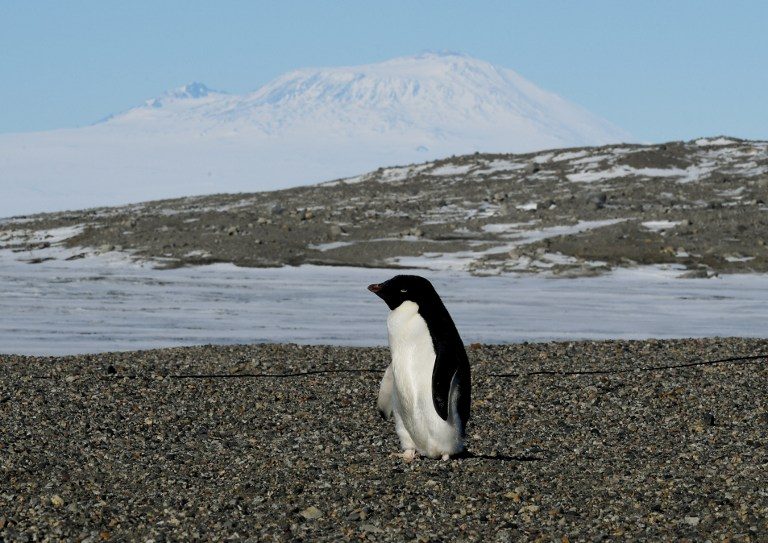 Climate change shows in shrinking Antarctic snows