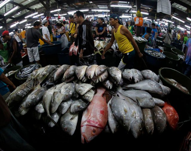 Dozens of Philippine fish species in danger – study