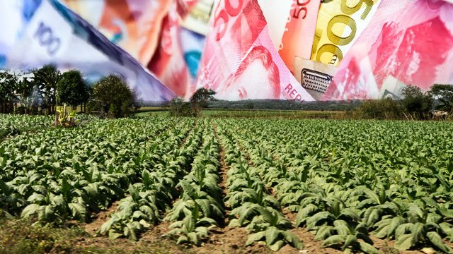 FAST FACTS: Tobacco funds in the Philippines
