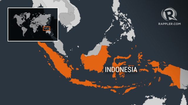 Human limbs found inside belly of Indonesia croc – police