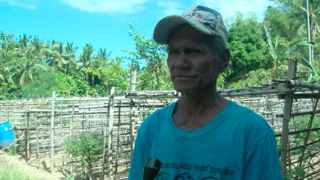 RECOVERY. Village elder Clemencio Carpiano says Malawig has already recovered from Yolanda thanks to the help of CordAid. Photo by Jeff Digma/ Rappler 
