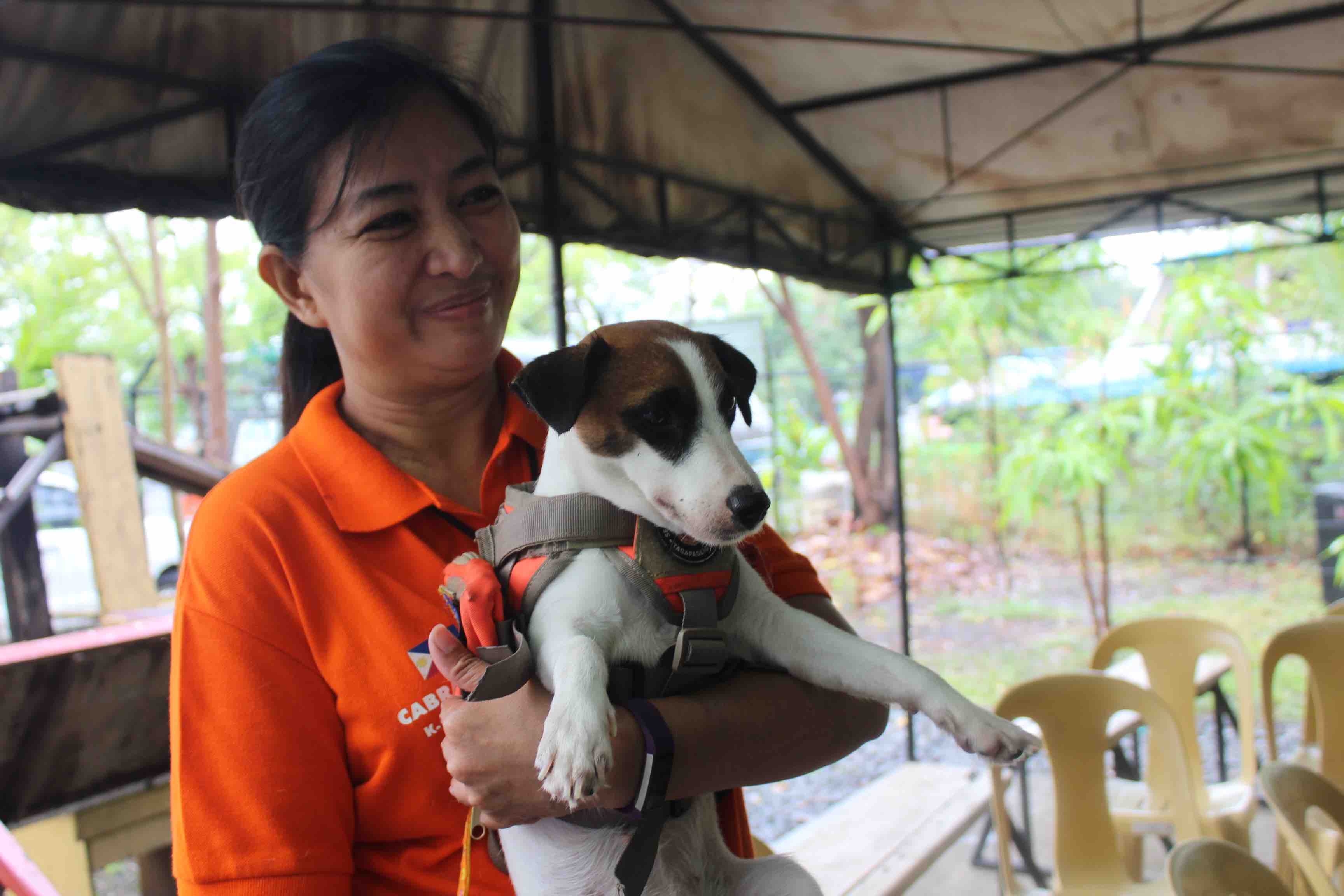 WOMAN'S BEST FRIEND. The MMDA says any dog can be trained to be a search dog.  Photo  by Alexia Pantaleon/Rappler 