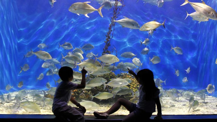 DISCOVER A NEW WORLD. Photo from Manila Ocean Park's Facebook page