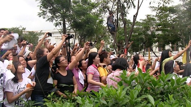 Not a Bible story: Filipinos climb trees to see Pope Francis