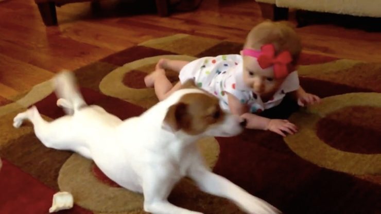 Webhits: Dog teaches baby how to crawl