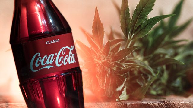 Coca-Cola looking at cannabis-infused drinks