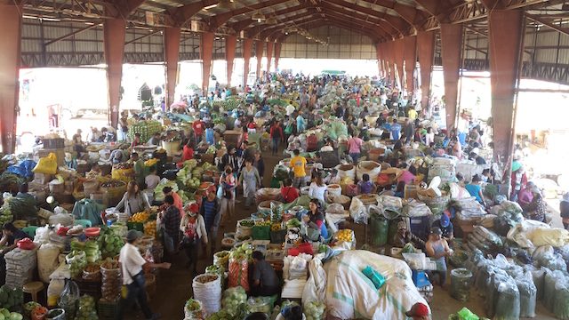 Low prices leave Benguet vegetables rotting