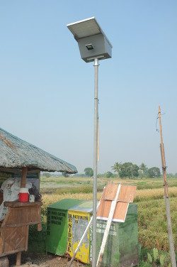 SOLAR LIGHT. Solar-powered street lamps stand on the edge of rice paddies and beside a hut used by farmers 