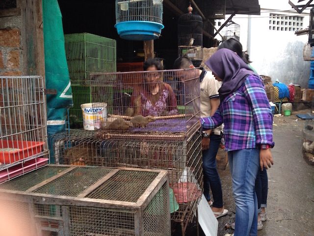 Pedagang burung di Pasar Bratang Surabaya. Foto oleh Kartika Ikawati/Rappler 