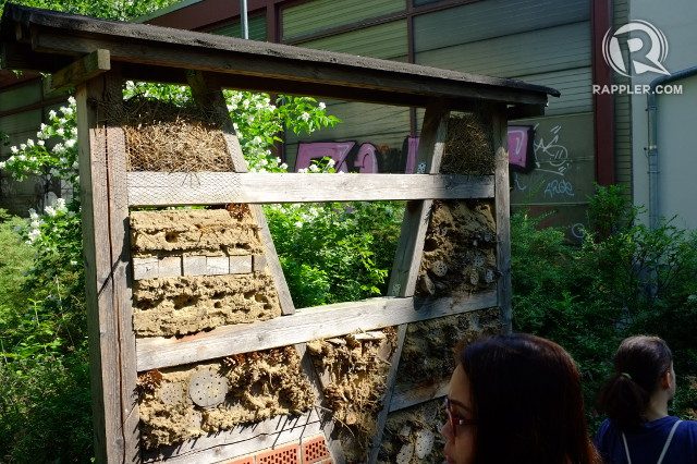 BEE HOTEL. This structure is a bee hotel meant to house the insects that are in danger due to the changing climate 