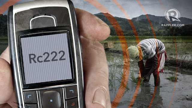 PH rice farmers use SMS service to improve yield