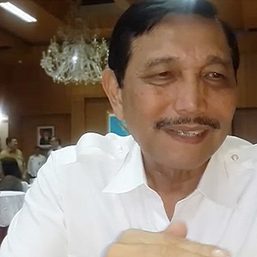 Luhut: The general who has Jokowi’s back
